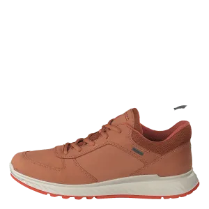 Ecco Exostride W Sierra